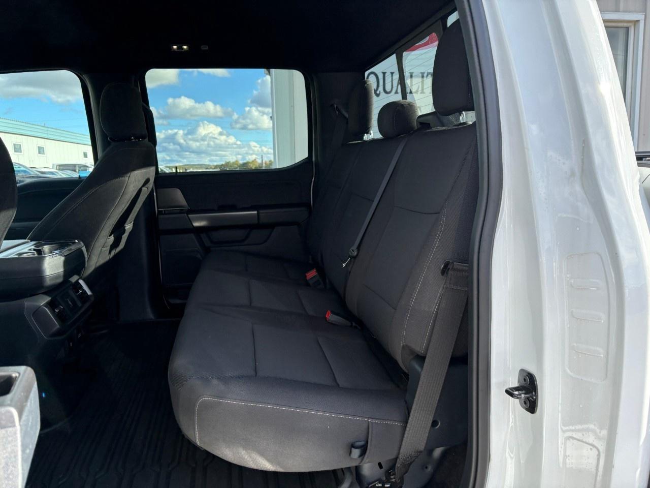 2024 Ford F-150 XLT 4WD SuperCrew 5.5' Box Photo