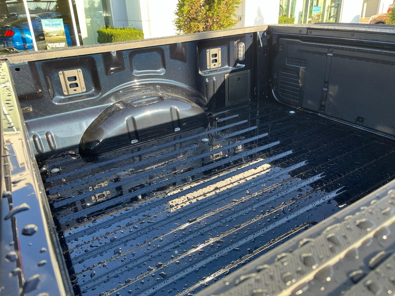 2026 Ford F-150 XLT 4WD SuperCrew 5.5' Box Photo