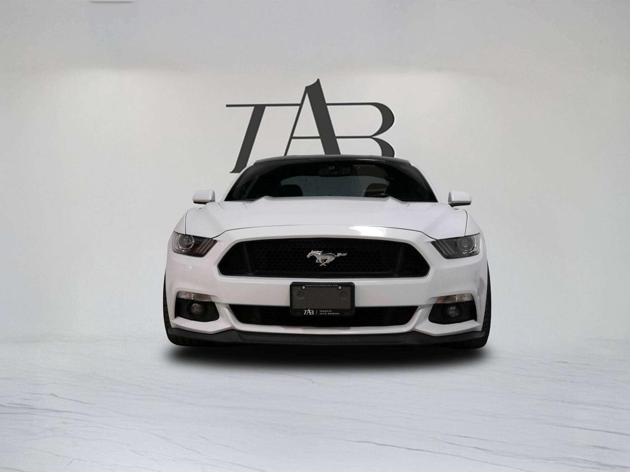 2017 Ford Mustang PERFORMANCE PKG | MANUAL | BORLA EXHAUST Photo