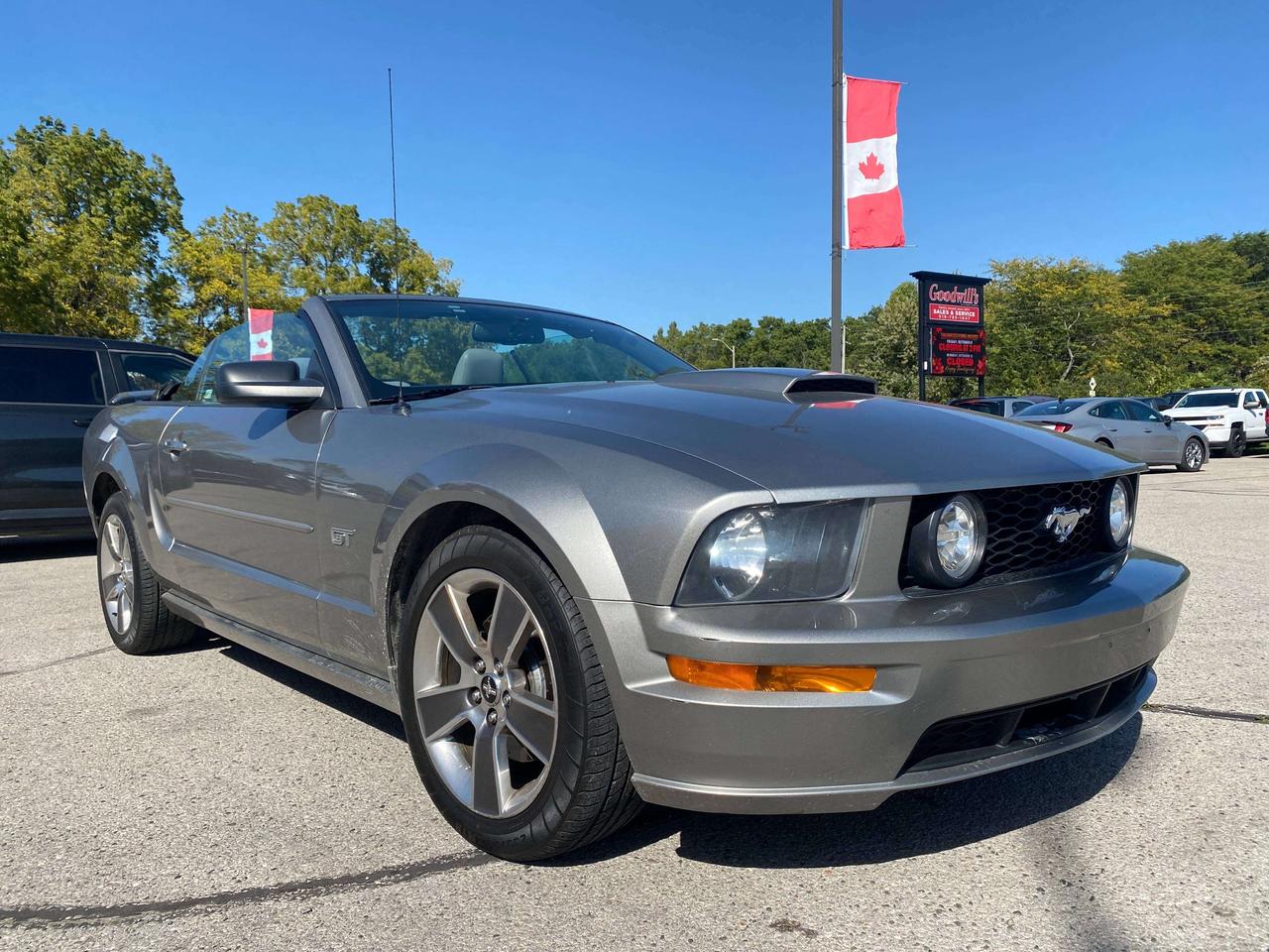 2008 Ford Mustang GT, LOW KMS, LEATHER! Photo