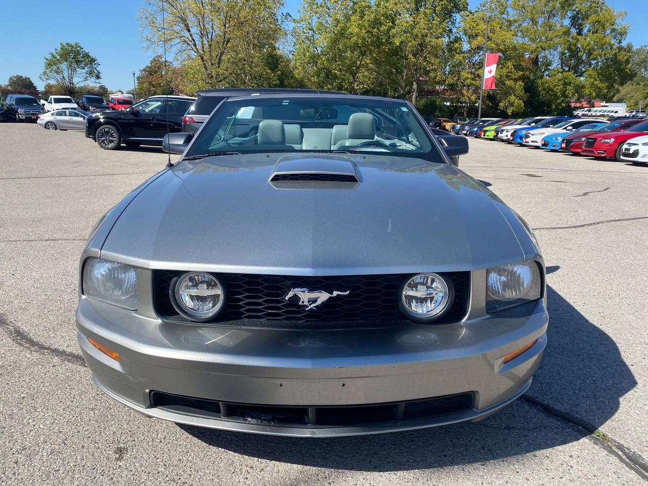 2008 Ford Mustang GT, LOW KMS, LEATHER! Photo
