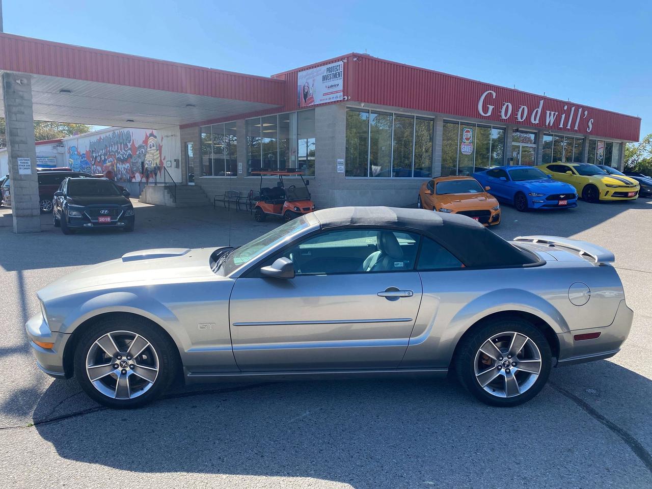 2008 Ford Mustang GT, LOW KMS, LEATHER! - Photo #13