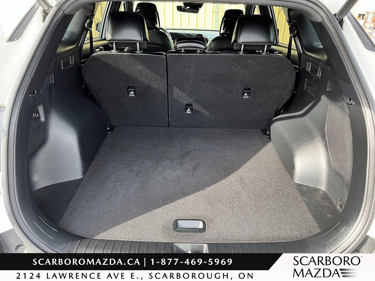 2025 Kia Sportage X-line Limited Photo