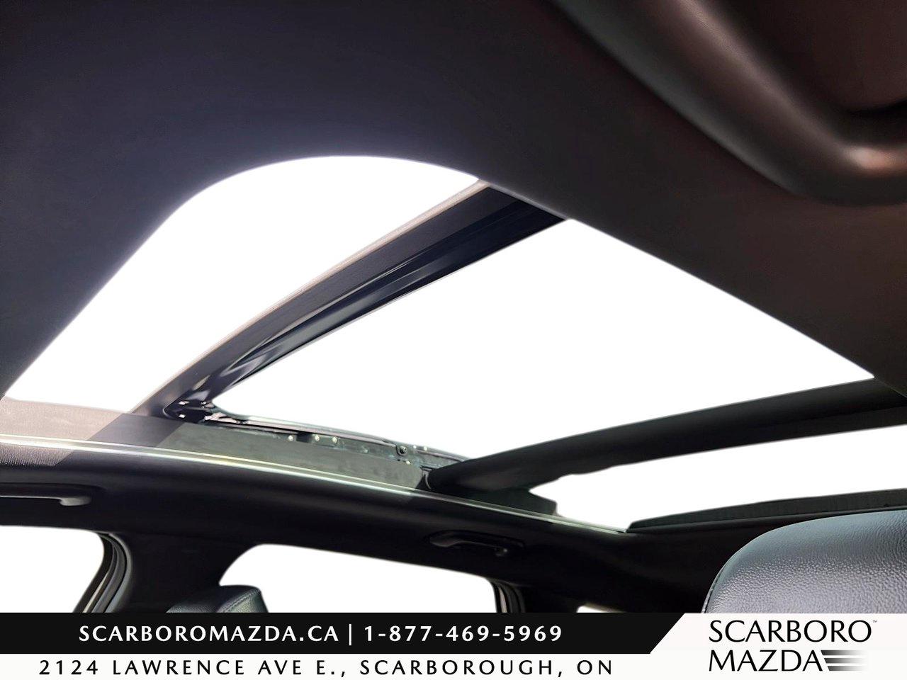 2025 Kia Sportage X-line Limited Photo