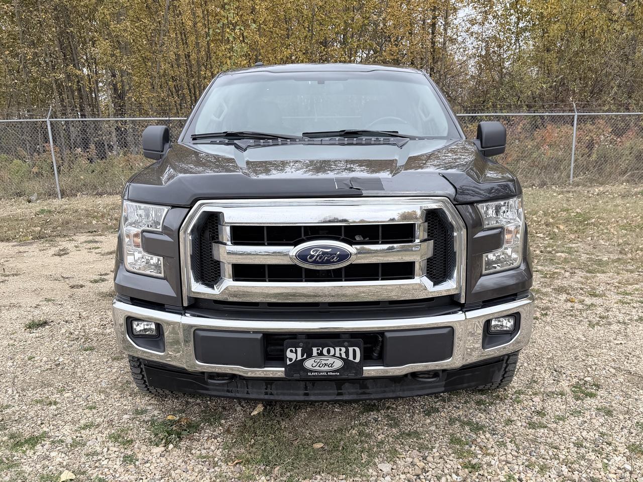 2017 Ford F-150 XLT Photo2