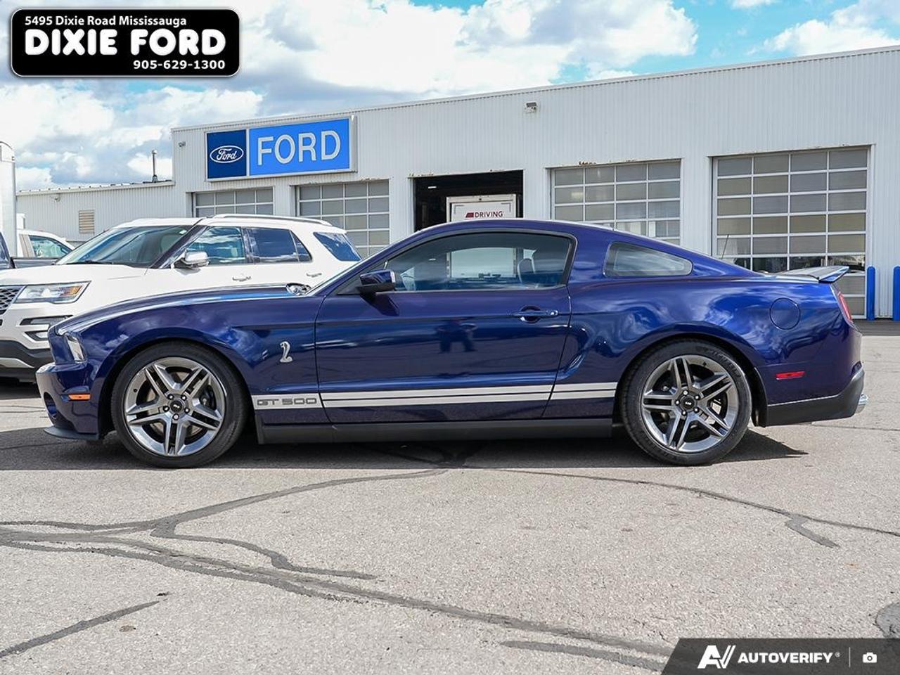 2010 Ford Mustang Shelby GT500 Photo