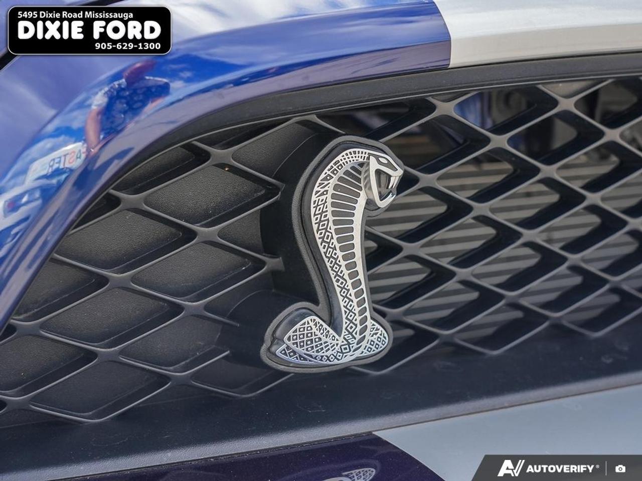 2010 Ford Mustang Shelby GT500 Photo