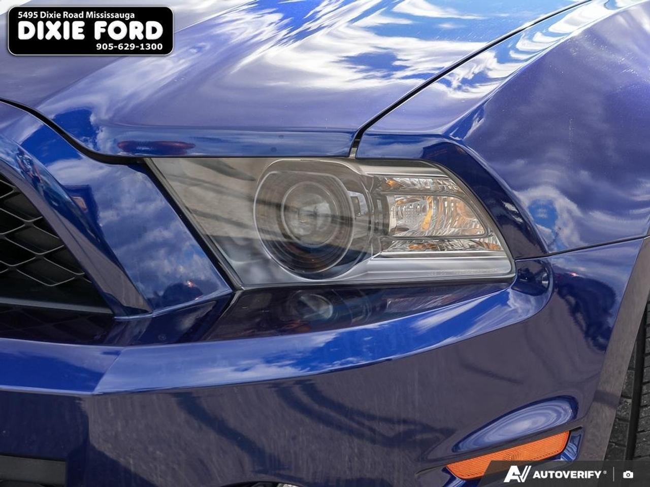 2010 Ford Mustang Shelby GT500 Photo