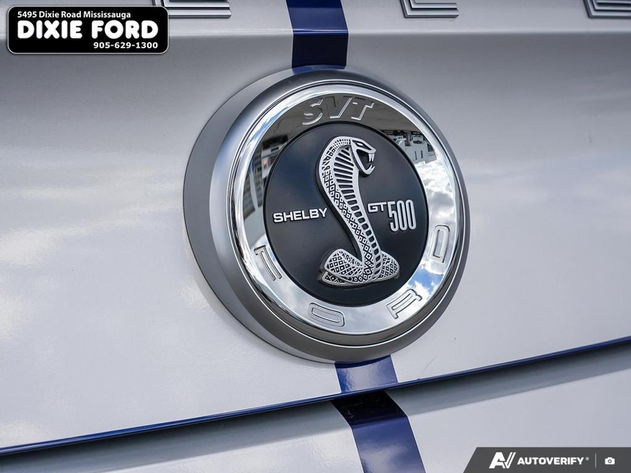 2010 Ford Mustang Shelby GT500 Photo