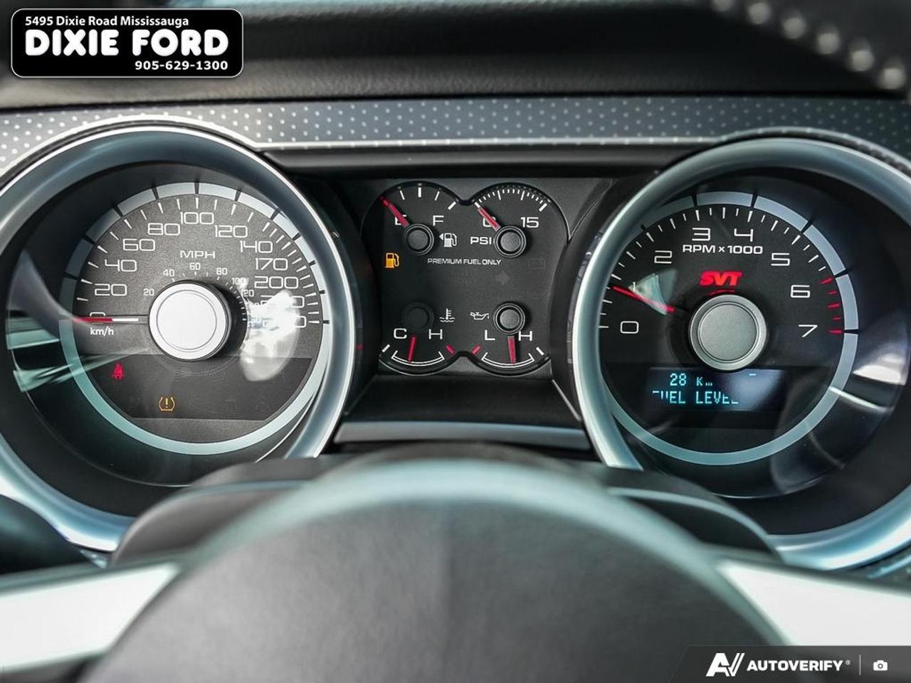 2010 Ford Mustang Shelby GT500 Photo
