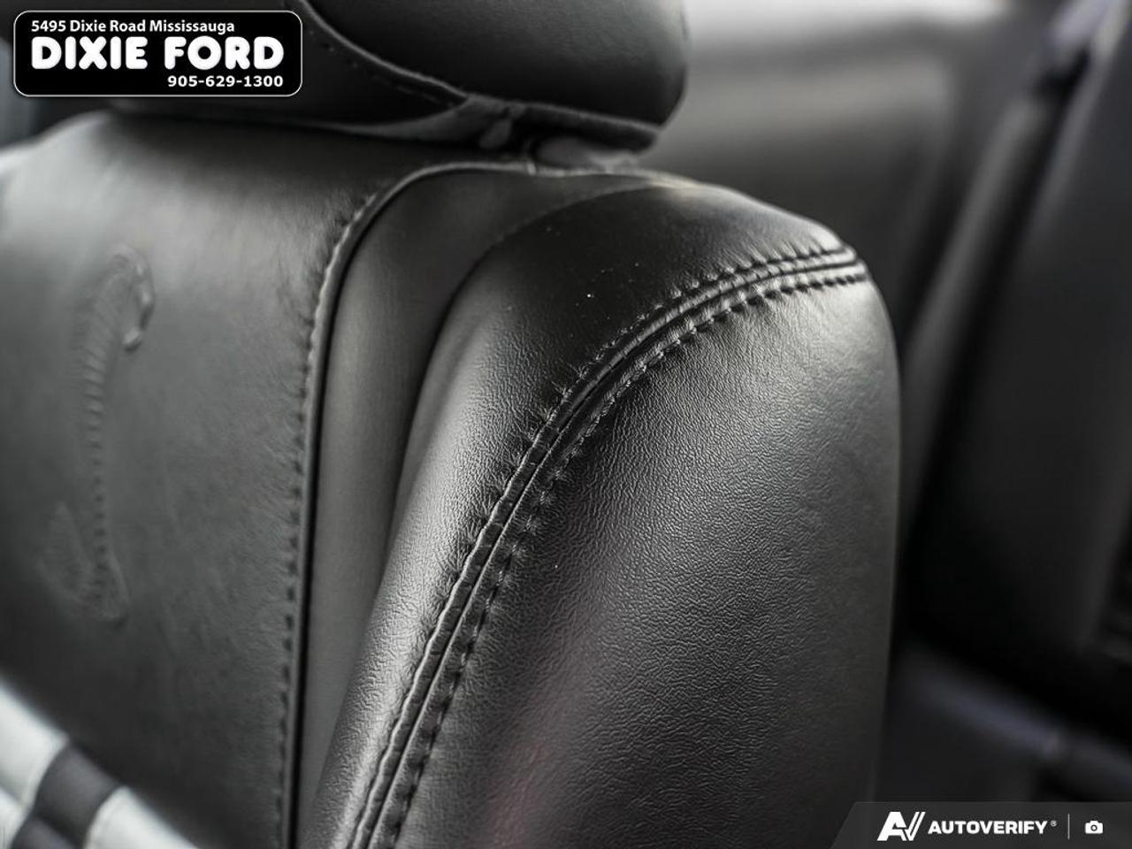 2010 Ford Mustang Shelby GT500 Photo