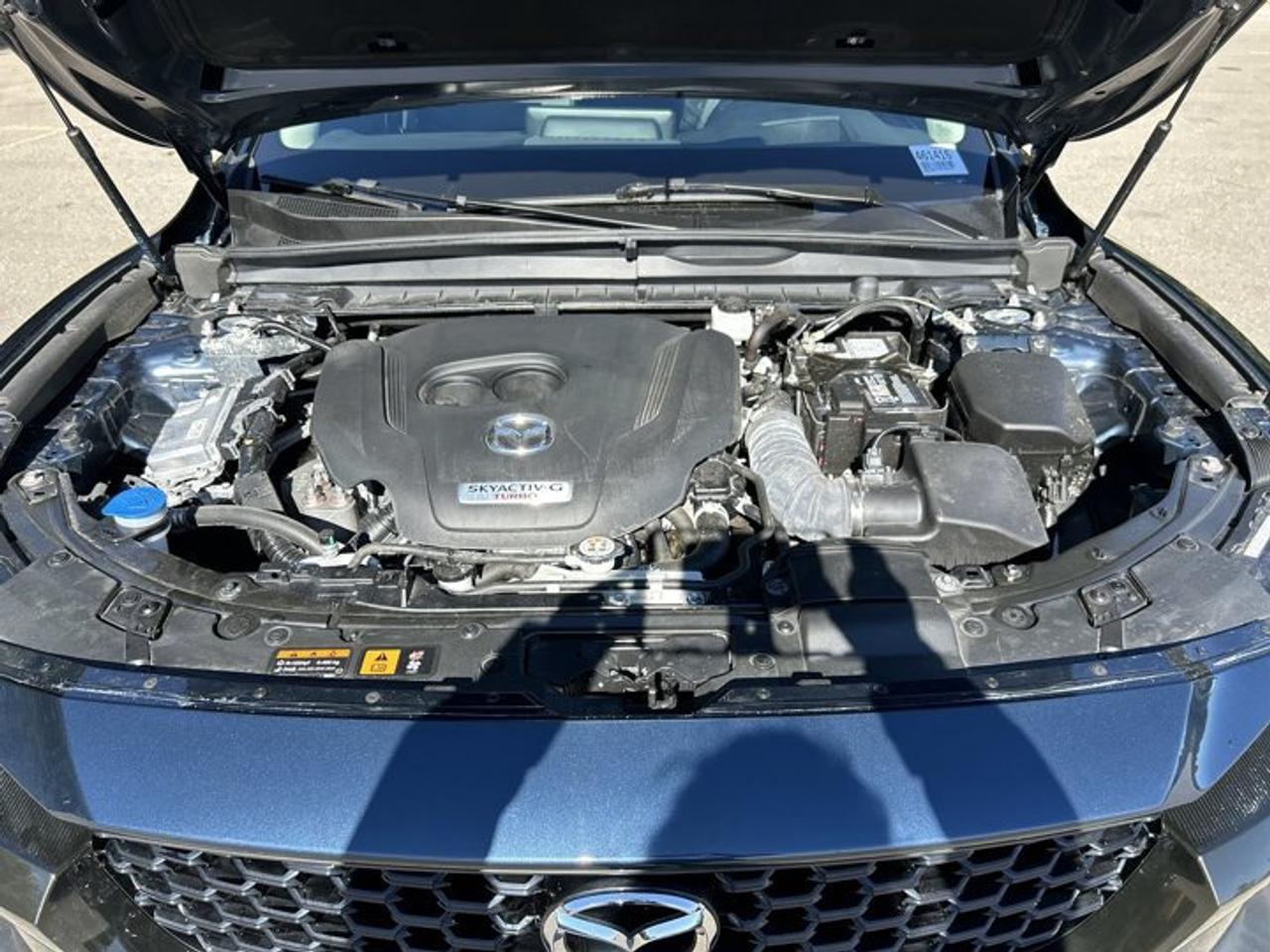 2025 Mazda CX-50 GT AWD | No Accidents | Leather Seats | Heated Steering Photo
