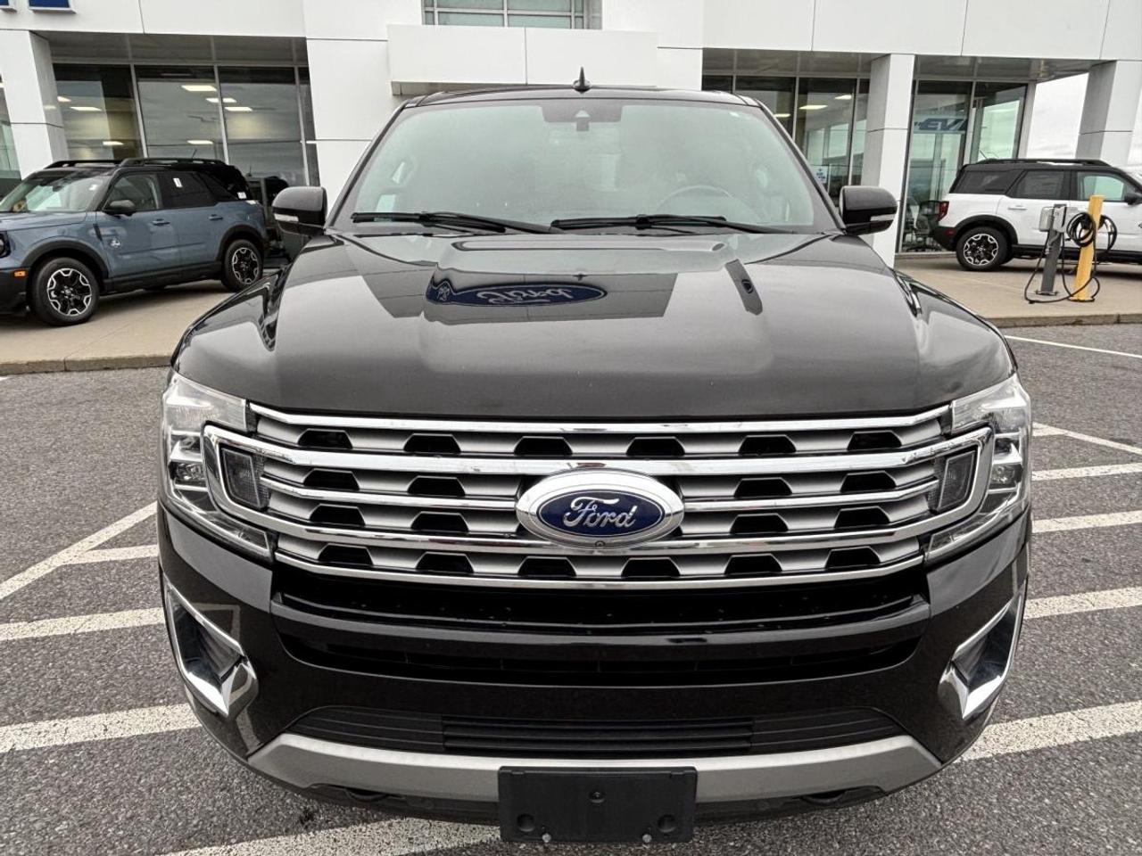2021 Ford Expedition Limited MAX Photo5