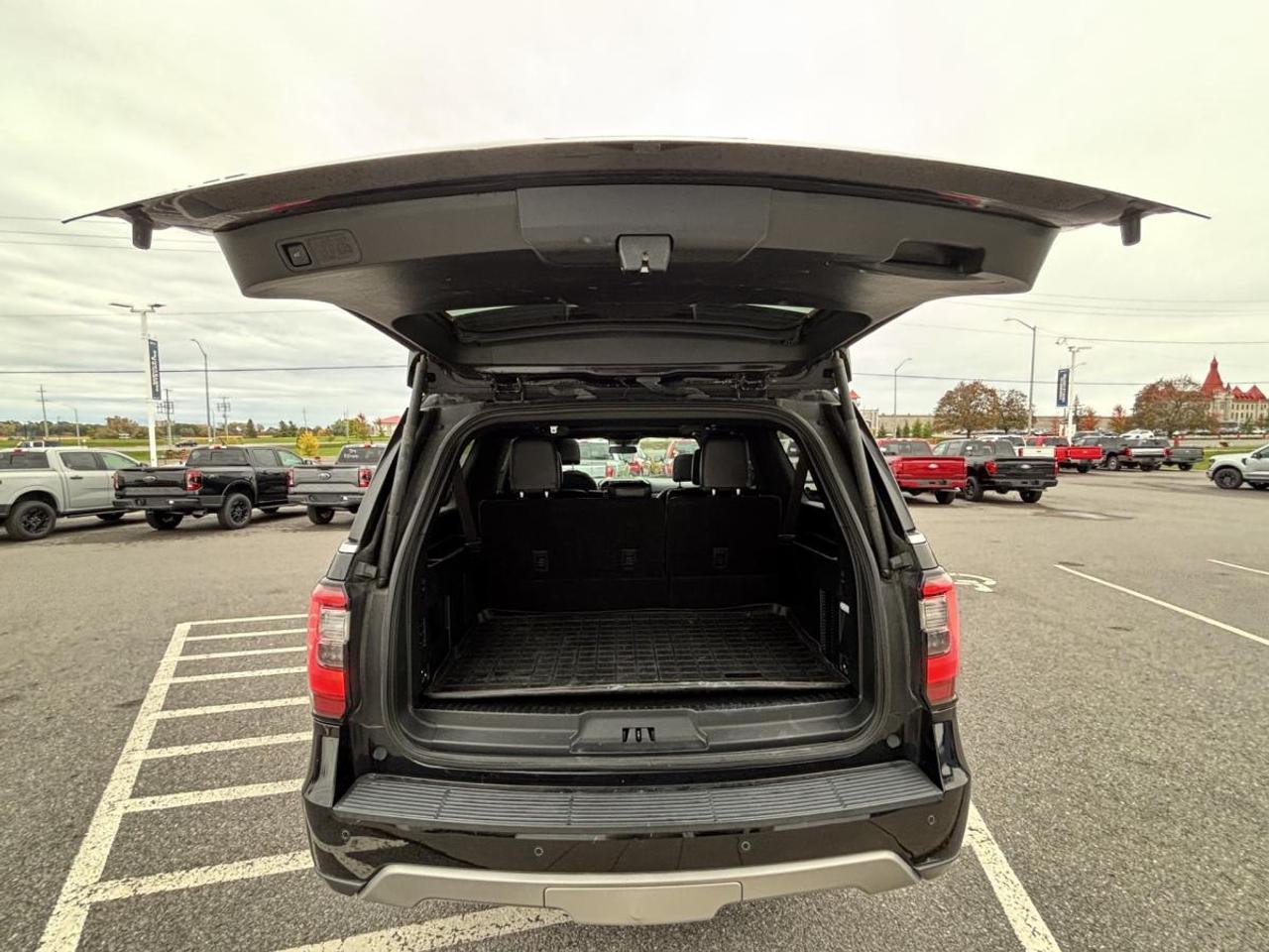 2021 Ford Expedition Limited MAX Photo