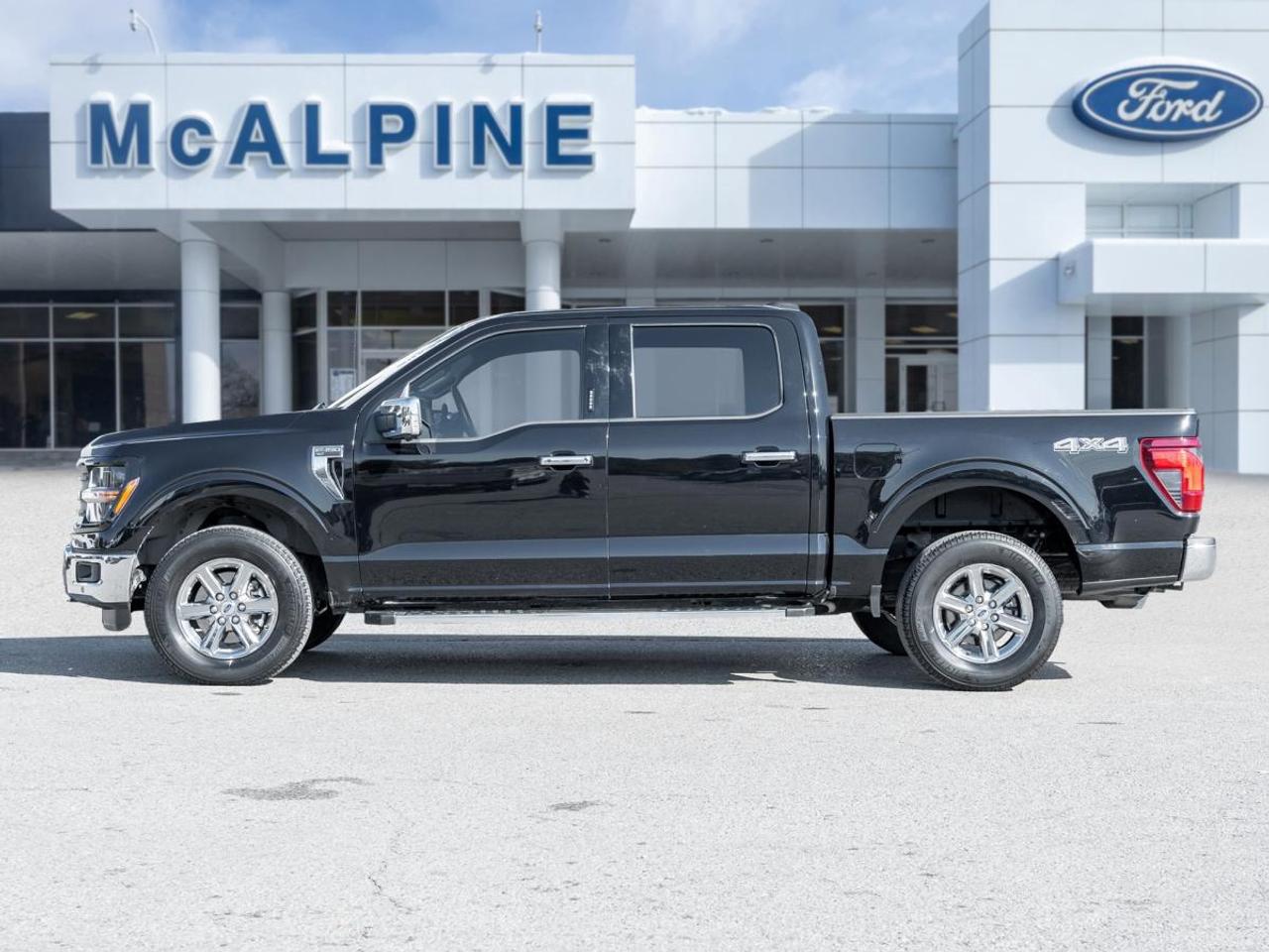 2024 Ford F-150 XLT Photo