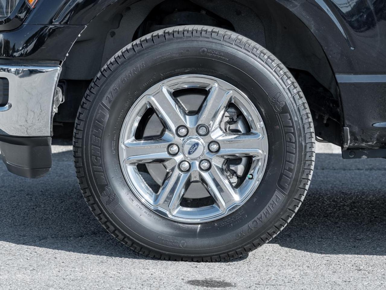 2024 Ford F-150 XLT Photo