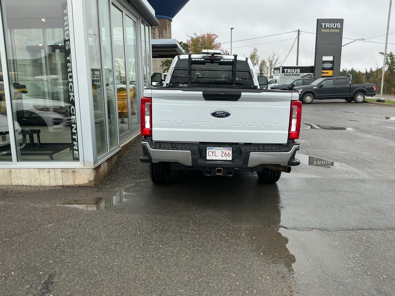 Image 6