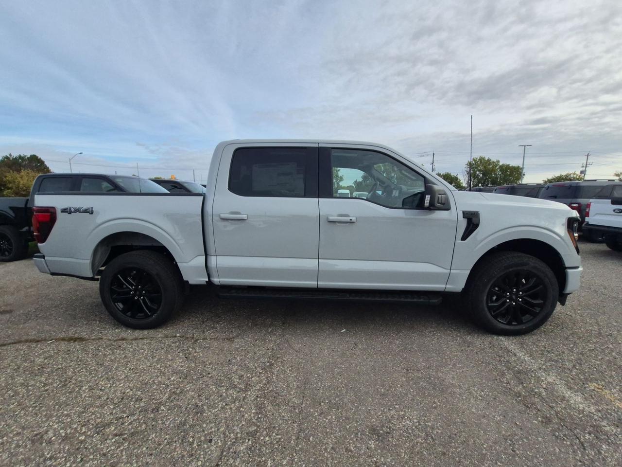2026 Ford F-150 XLT, 303A PKG, BLACK APPEARANCE PKG, MOONROOF Photo3