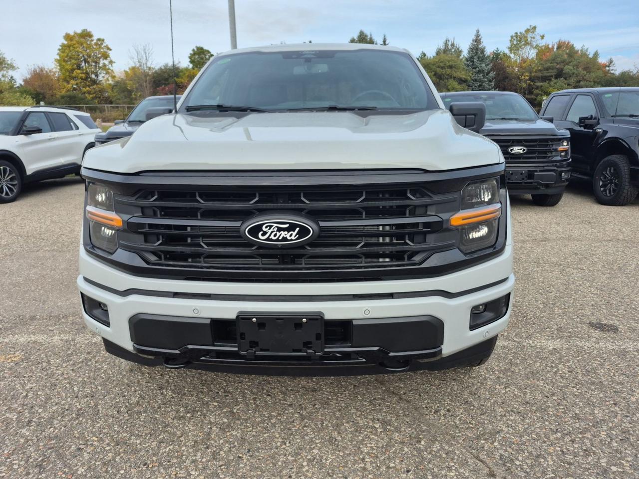 2026 Ford F-150 XLT, 303A PKG, BLACK APPEARANCE PKG, MOONROOF Photo5