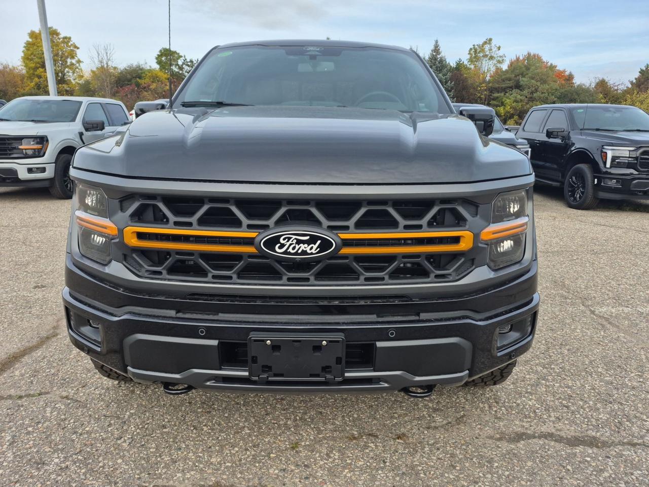 2026 Ford F-150 TREMOR, MOONROOF, TOW/HAUL PKG, Photo5