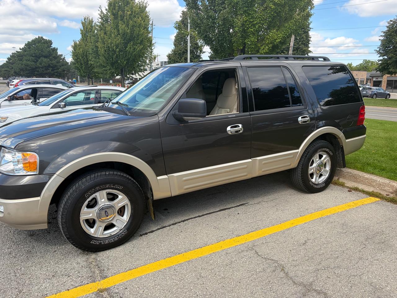 2006 Ford Expedition Eddie Bauer Photo