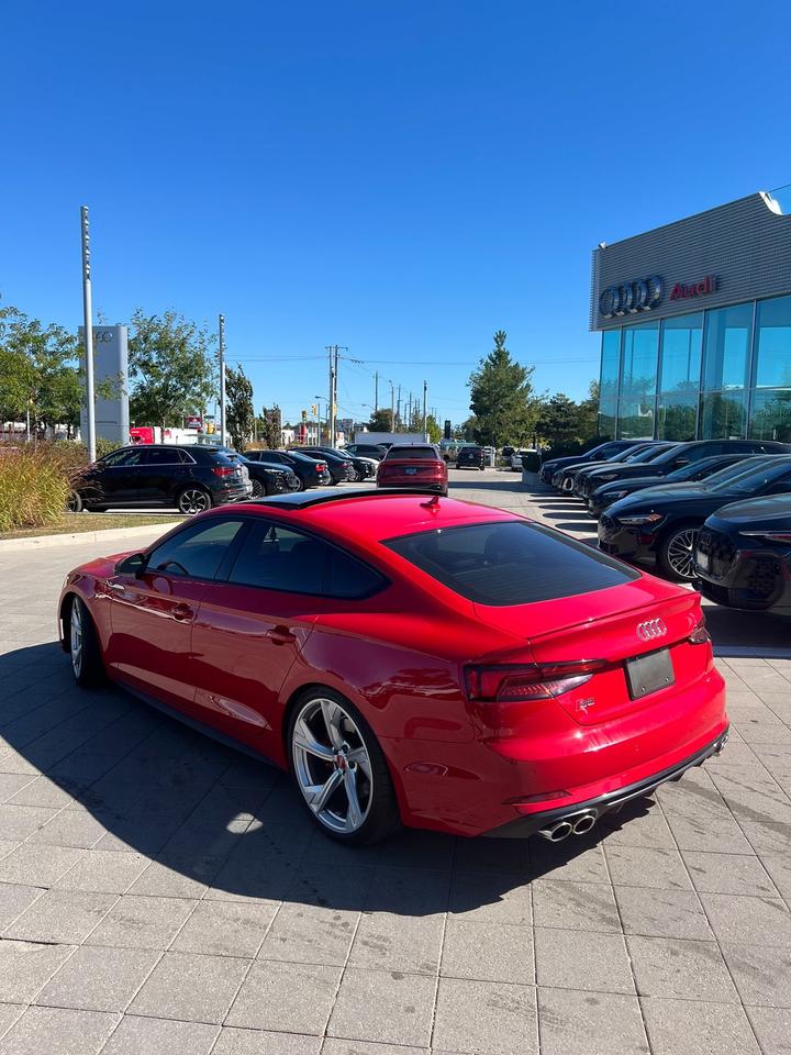 2019 Audi S5 Technik Photo