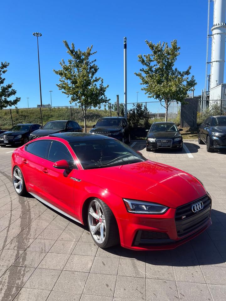 2019 Audi S5 Technik Photo