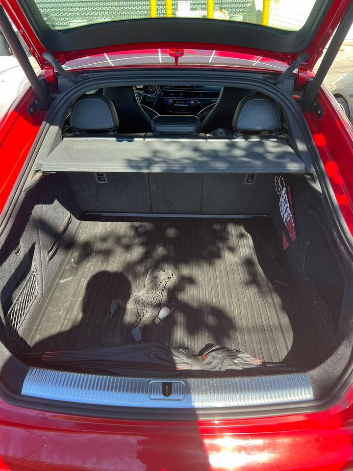 2019 Audi S5 Technik Photo