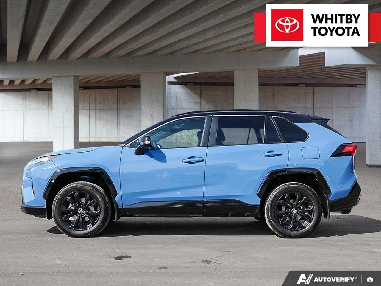 2023 Toyota RAV4 Hybrid XSE 2.5L Photo3