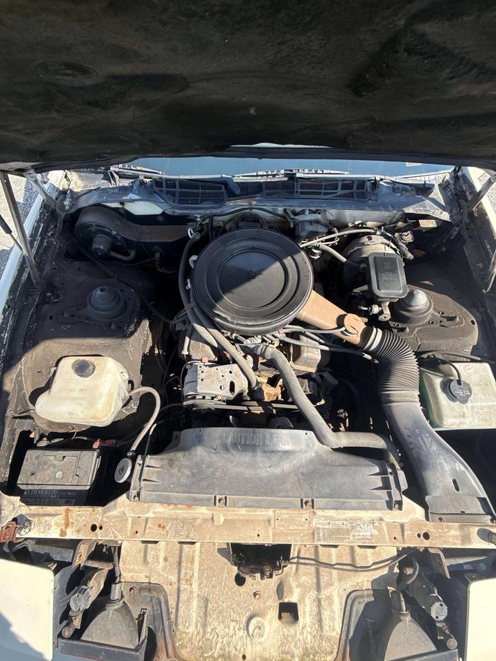1984 Pontiac Firebird BASE Photo