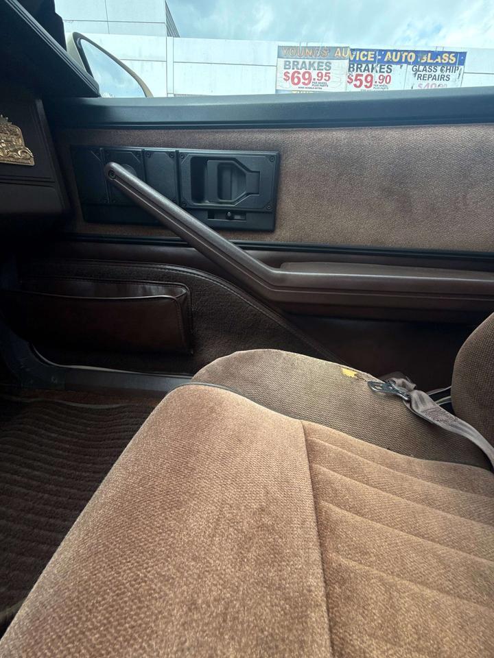1984 Pontiac Firebird BASE Photo