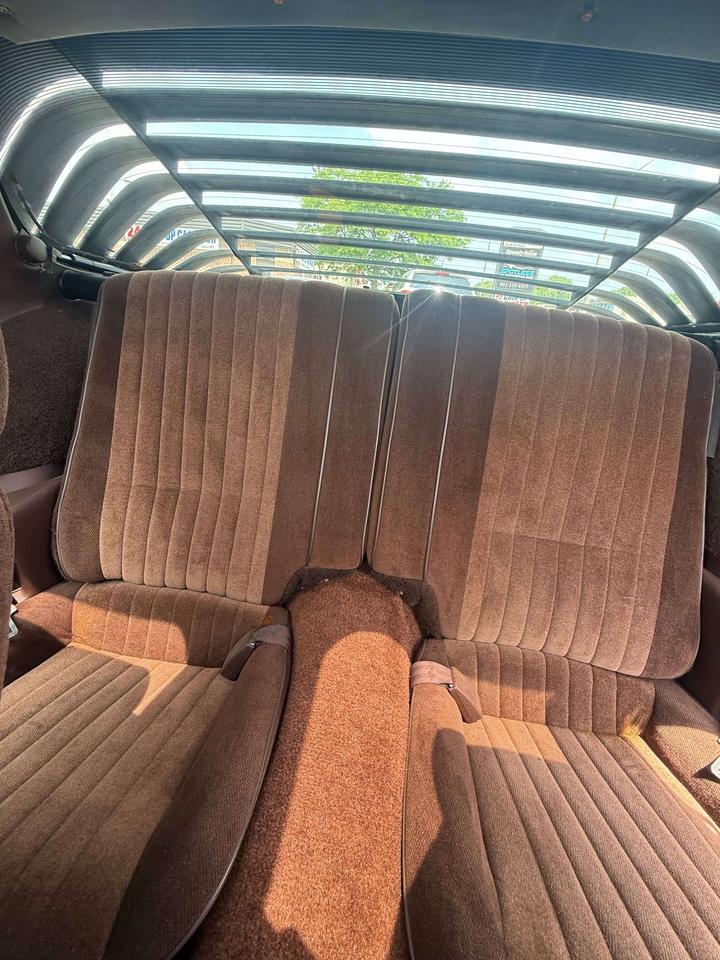 1984 Pontiac Firebird BASE Photo