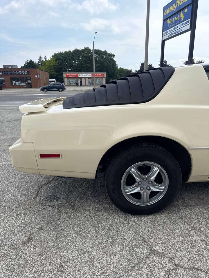 1984 Pontiac Firebird BASE Photo2