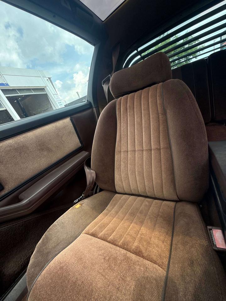1984 Pontiac Firebird BASE Photo