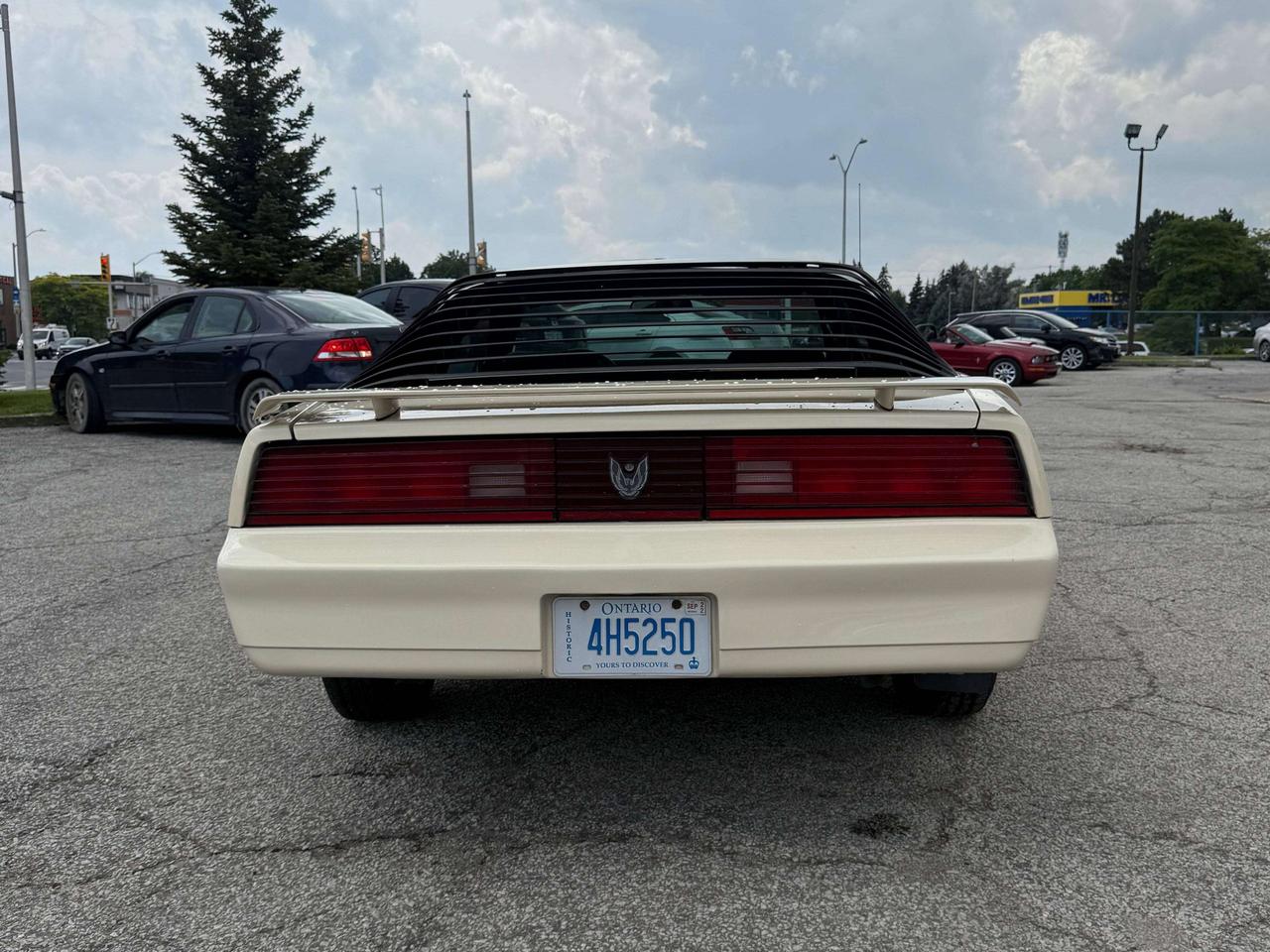 1984 Pontiac Firebird BASE Photo4
