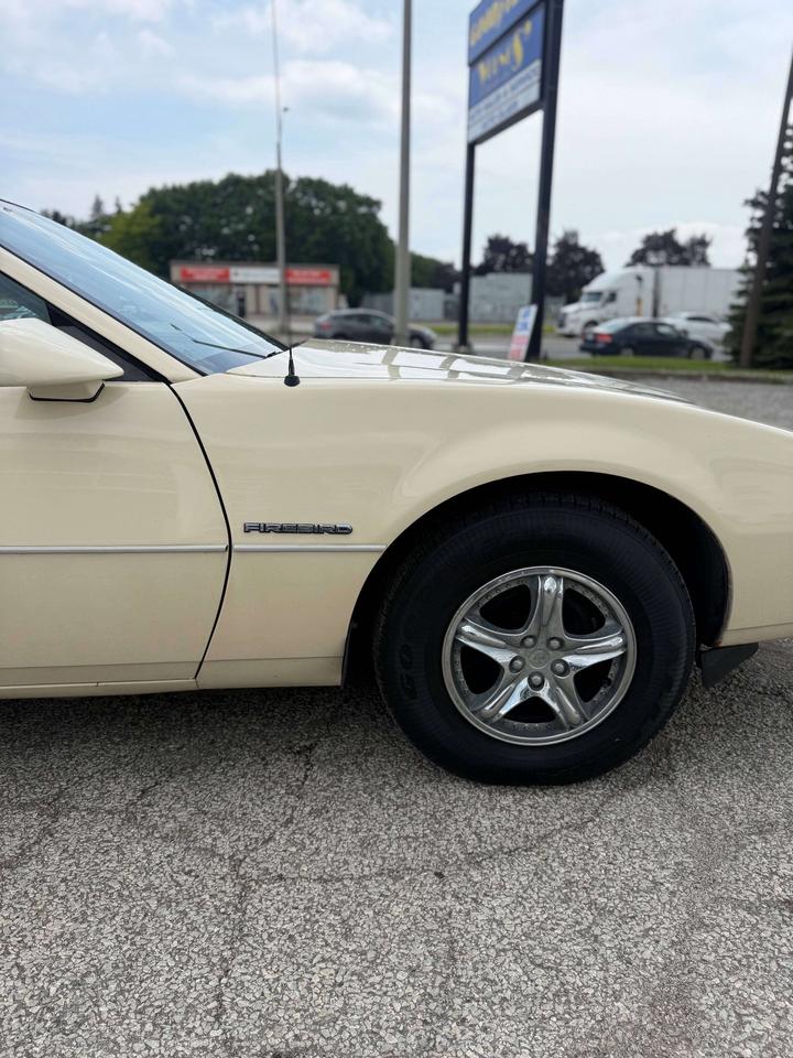 1984 Pontiac Firebird BASE Photo3
