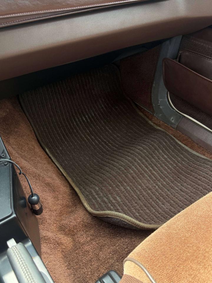 1984 Pontiac Firebird BASE Photo