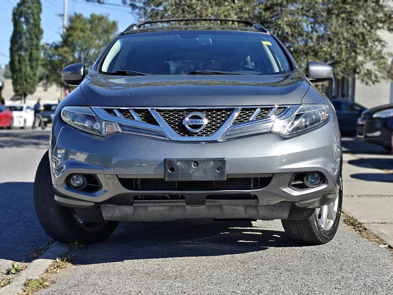 2014 Nissan Murano Platinum 4dr All-wheel Drive Photo