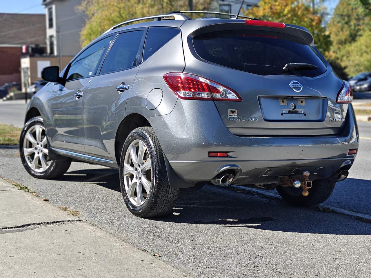2014 Nissan Murano Platinum 4dr All-wheel Drive Photo