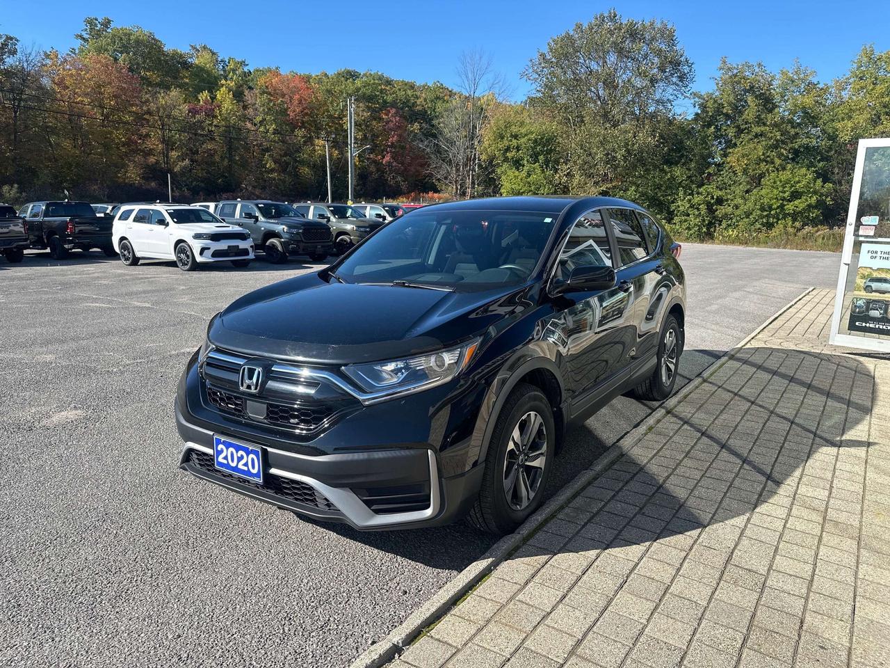 2020 Honda CR-V LX Photo0