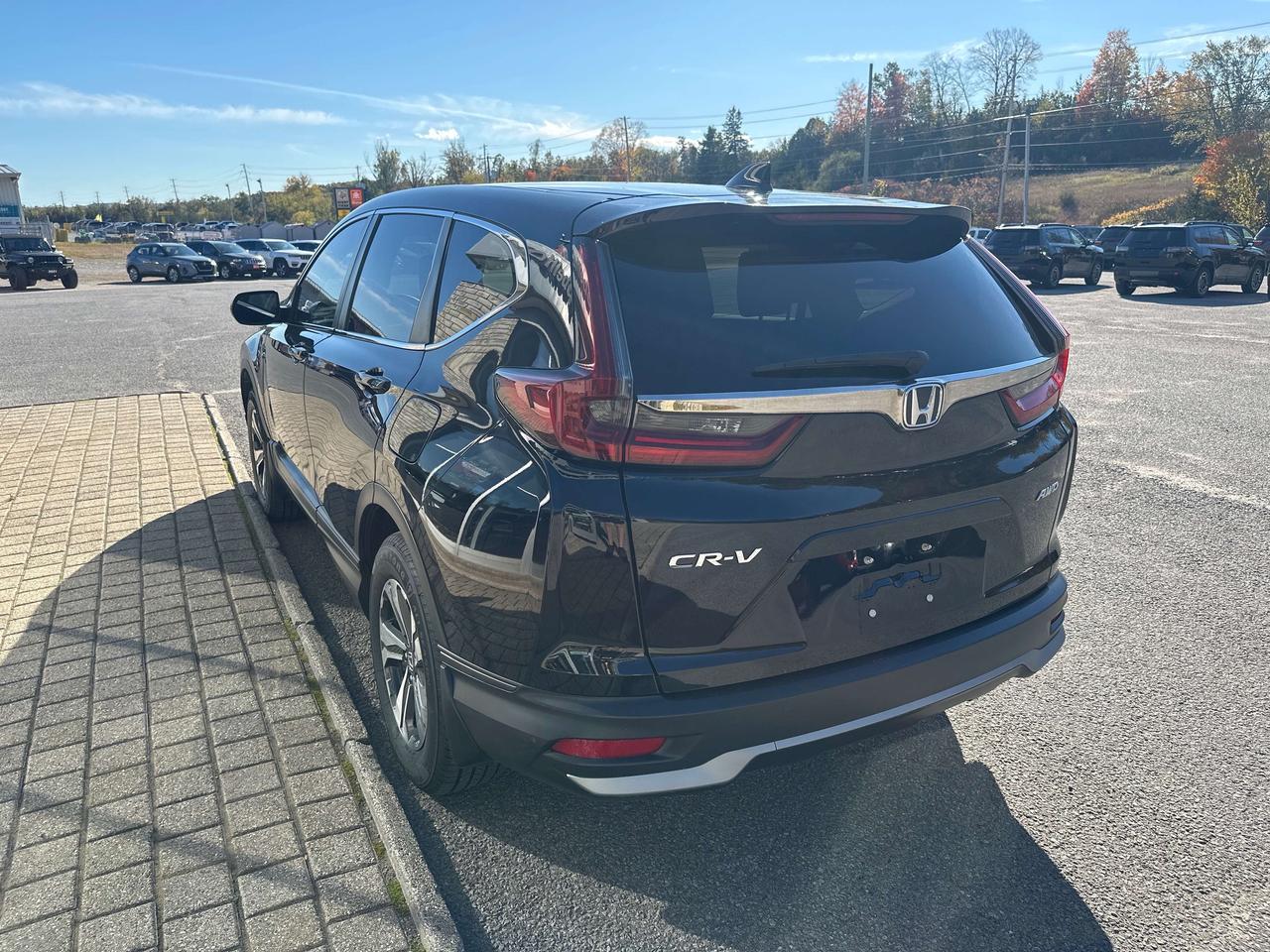 2020 Honda CR-V LX Photo