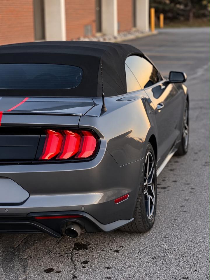 2021 Ford Mustang EcoBoost Premium | Convertible | Alloys | Heated s Photo