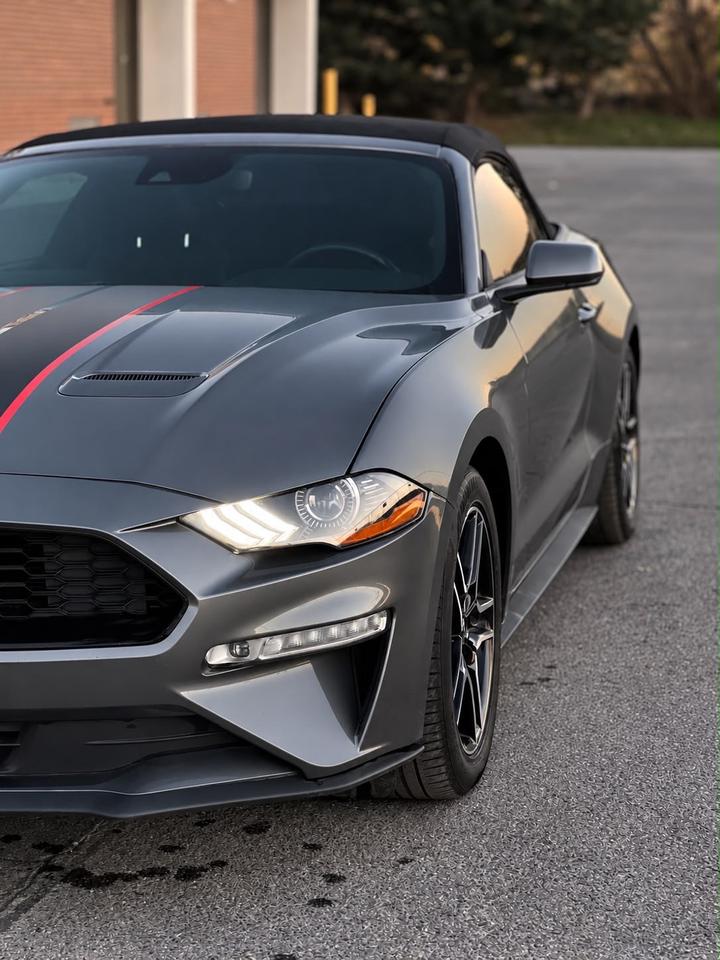 2021 Ford Mustang EcoBoost Premium | Convertible | Alloys | Heated s Photo