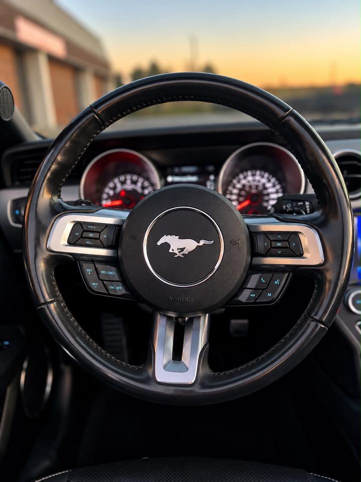 2021 Ford Mustang EcoBoost Premium | Convertible | Alloys | Heated s Photo