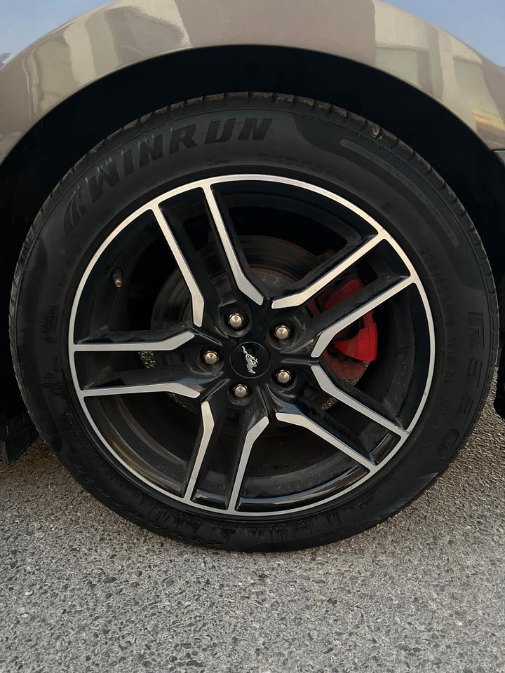 2021 Ford Mustang EcoBoost Premium | Convertible | Alloys | Heated s Photo
