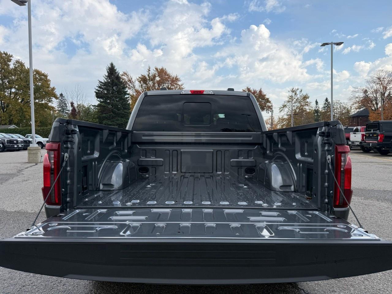 2026 Ford F-150  Photo