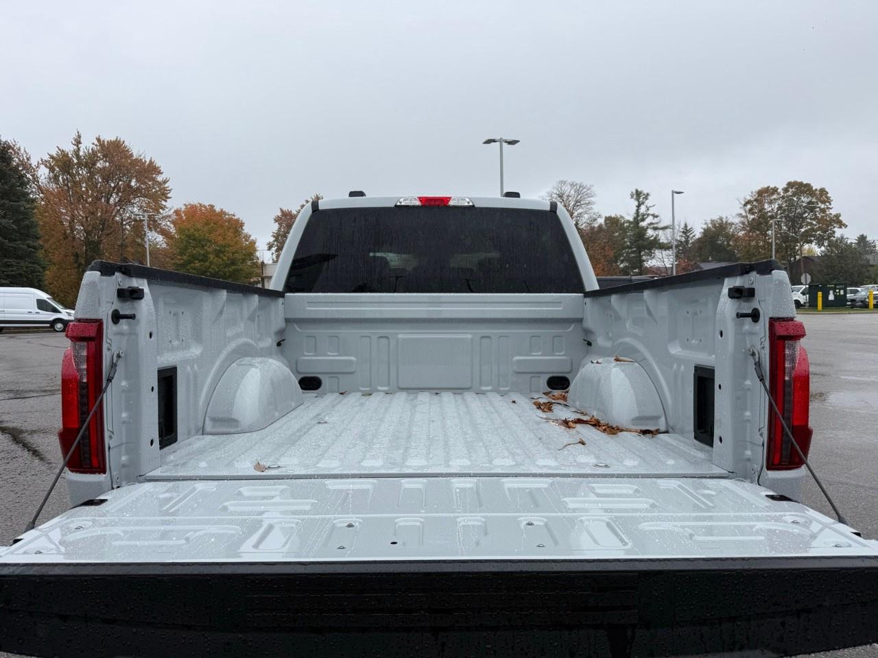 2026 Ford F-150 XLT 4WD SuperCrew 5.5' Box Photo