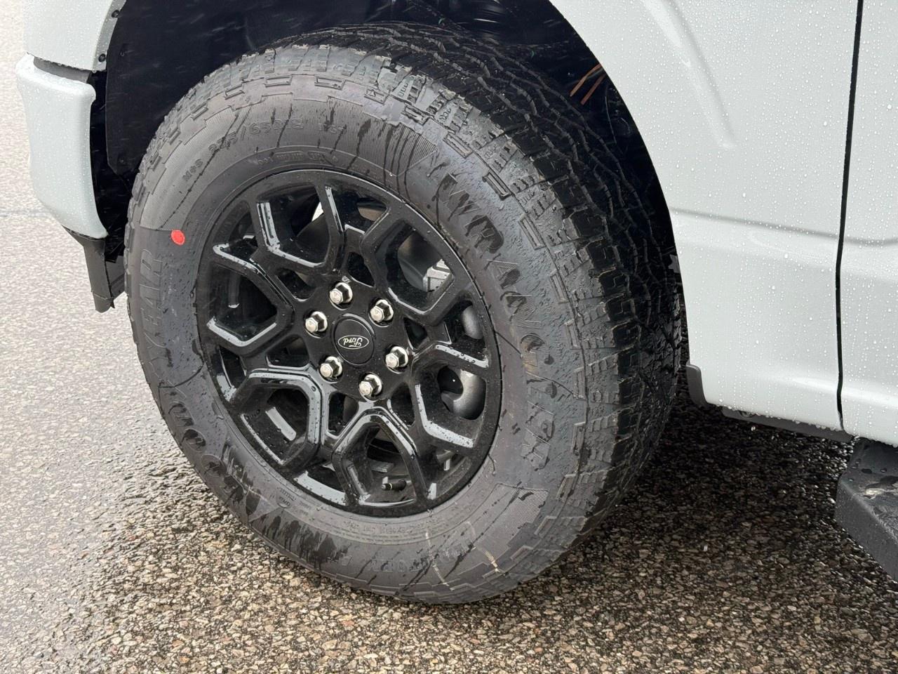2026 Ford F-150 XLT 4WD SuperCrew 5.5' Box Photo
