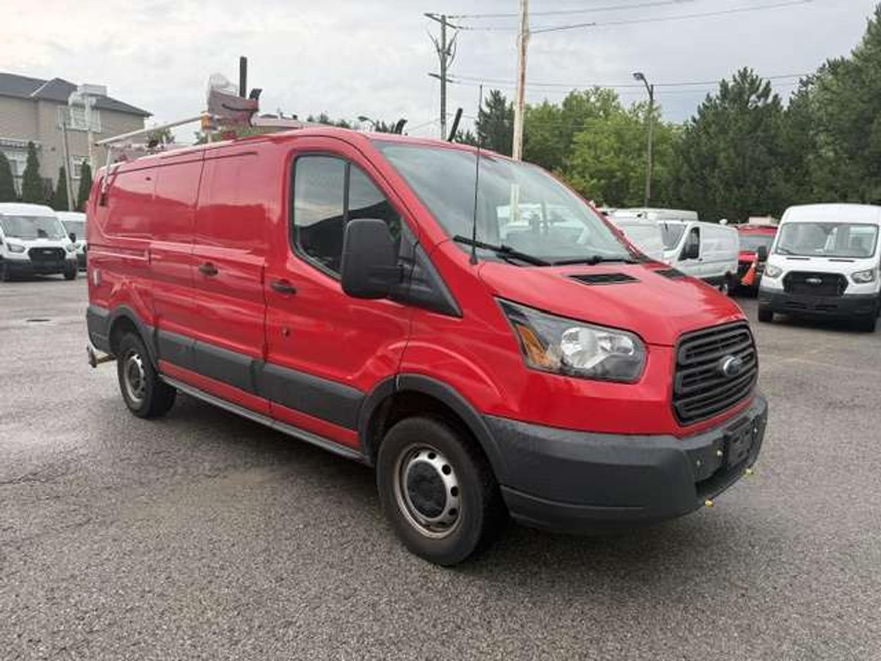 2019 Ford Transit Fully equipped, Roof racks, Shelving, Divider Photo