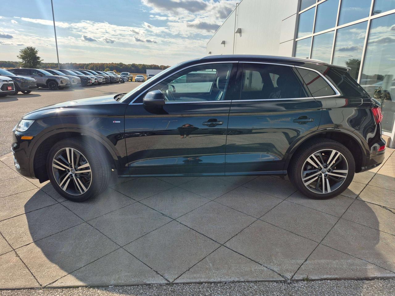 2020 Audi Q5 Technik Photo